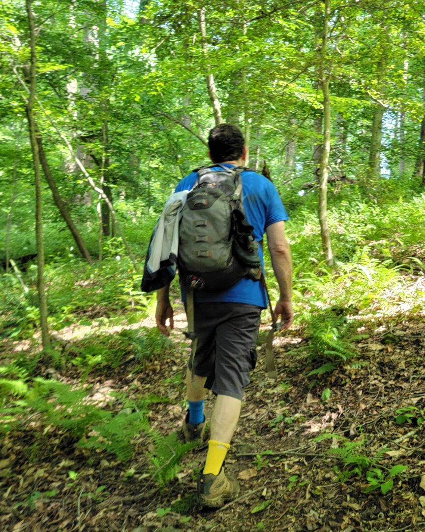 Brian Germain walking a forest trail in summer, seen from behind